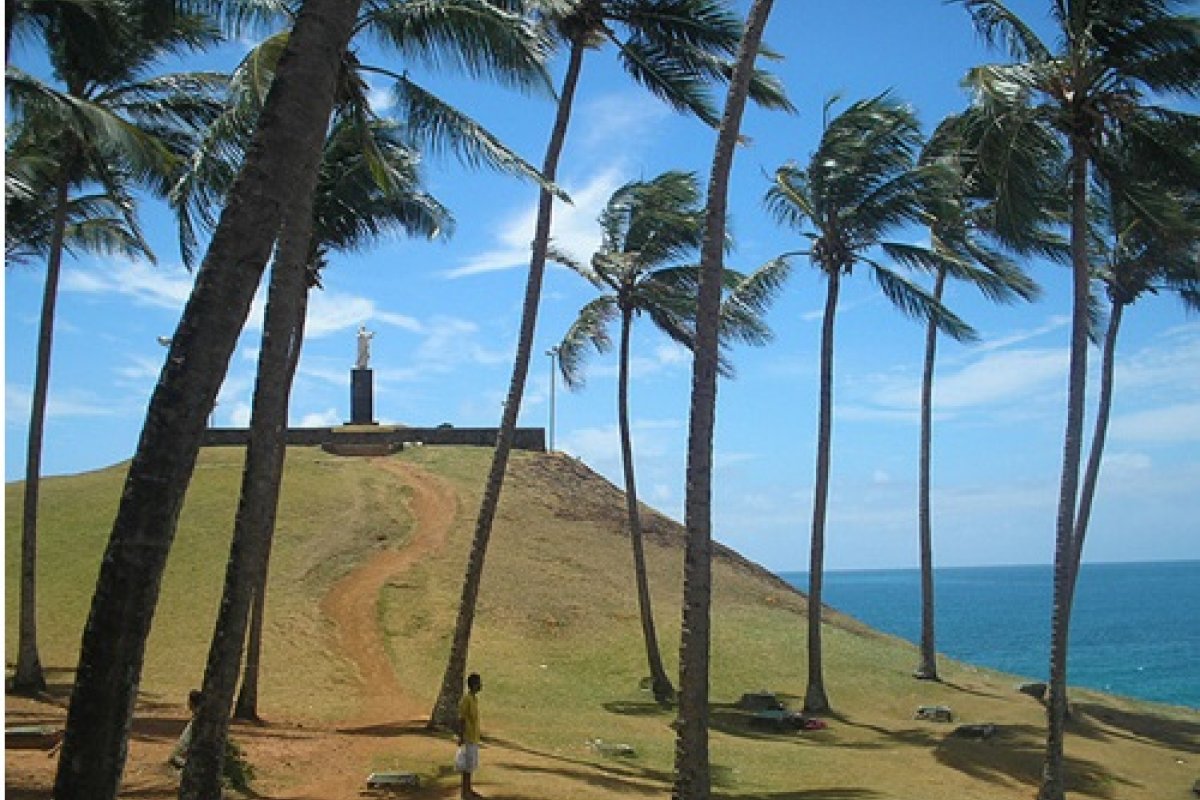 Vídeo: biólogo denuncia podação excessiva de coqueiros na Barra-Ondina; Prefeitura se manifesta 