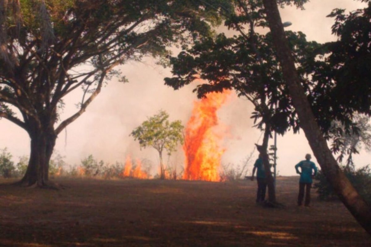 Incêndio atinge mata nativa em Porto Seguro, no sul da Bahia