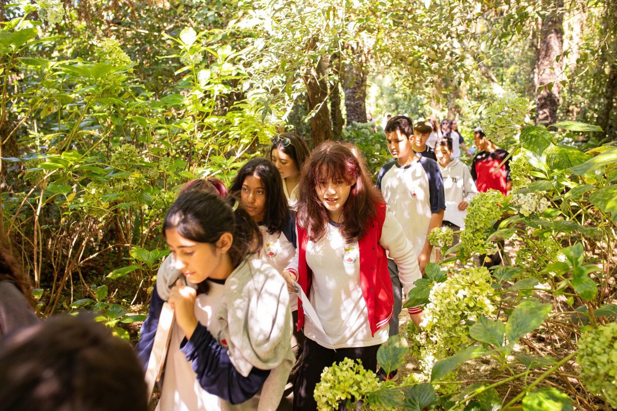 Programa pedagógico alia ESG e IA contra a crise climática!