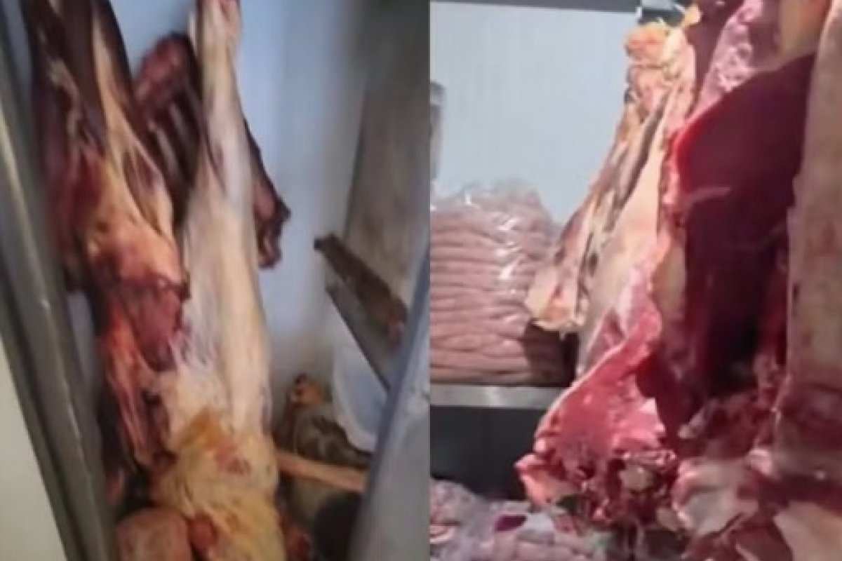 Seis são presos suspeitos de integrar esquema de furto de gado para abate clandestino em Porto Seguro