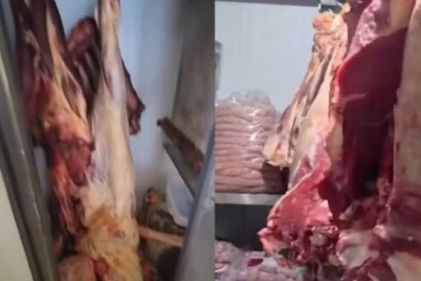 [Seis são presos suspeitos de integrar esquema de furto de gado para abate clandestino em Porto Seguro]