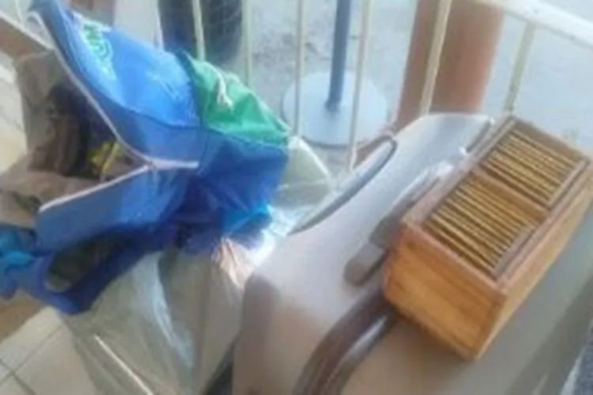 Homem é detido após tentar transportar aves silvestres entre municípios baianos