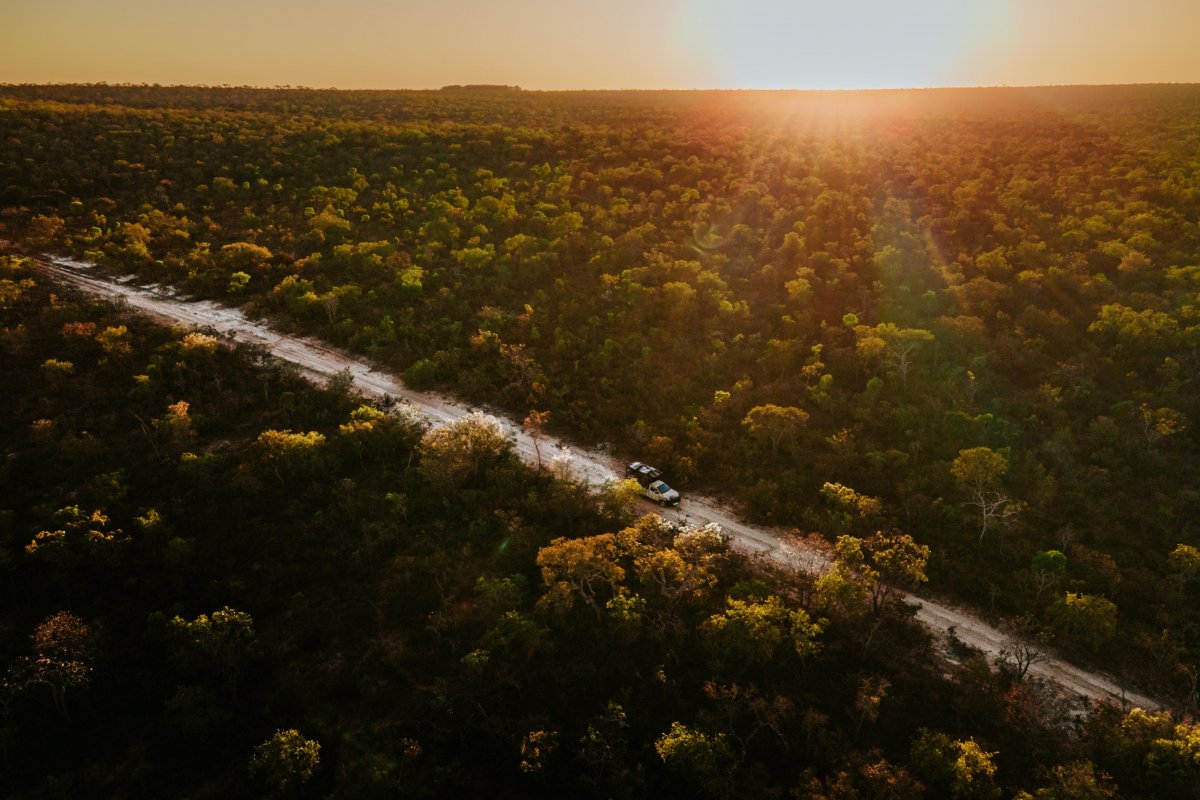 70 anos de publicação de Grande Sertão: Veredas, obra de João Guimarães Rosa que segue mobilizando leitores, pesquisadores e projetos culturais! 