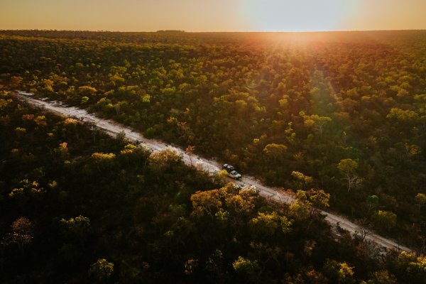 [70 anos de publicação de Grande Sertão: Veredas, obra de João Guimarães Rosa que segue mobilizando leitores, pesquisadores e projetos culturais! ]