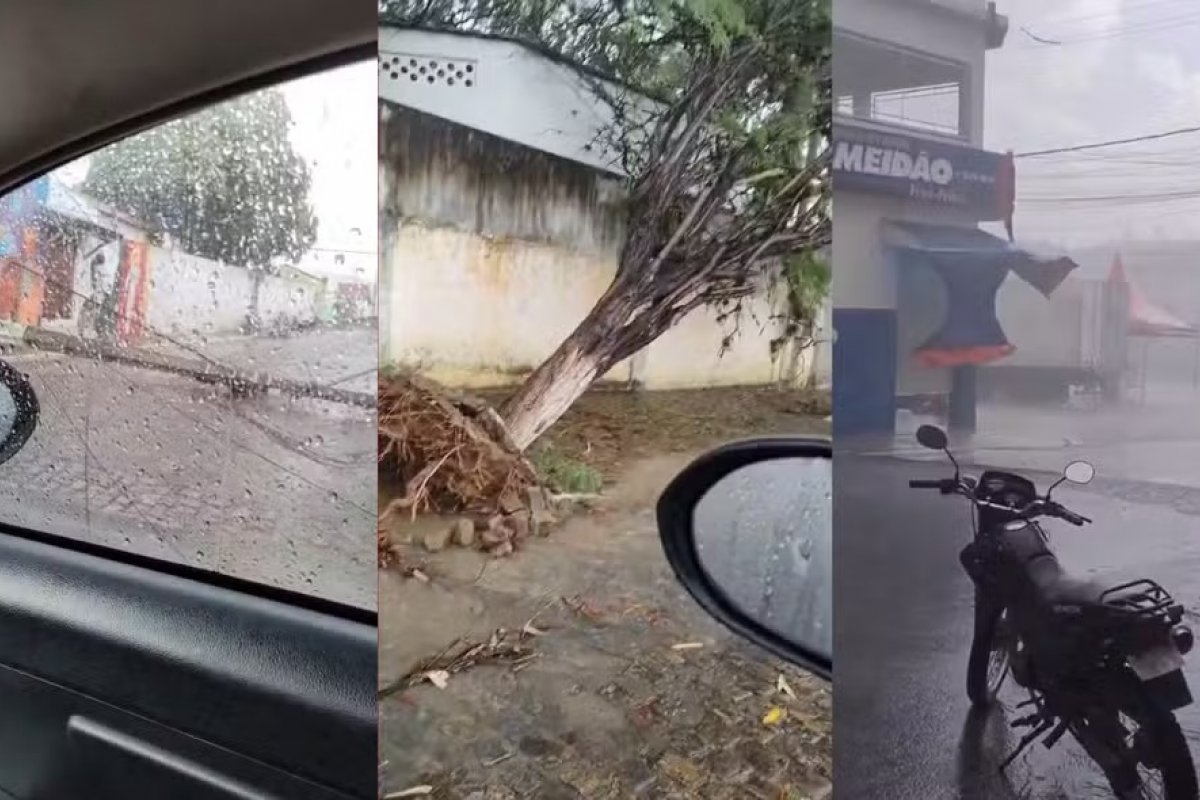 Chuvas e ventos fortes provocam queda de postes e árvores no sudoeste da Bahia