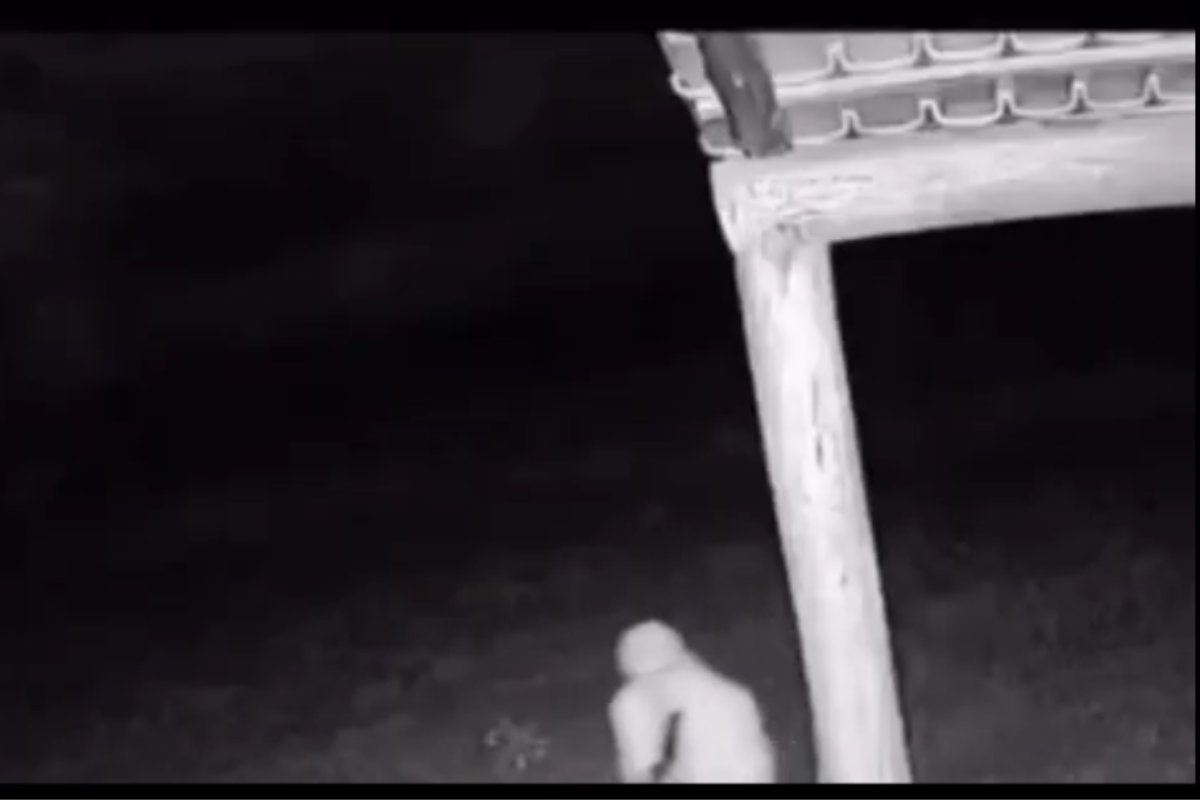 Vídeo: Grupo armado invade Fazenda no extremo sul baiano