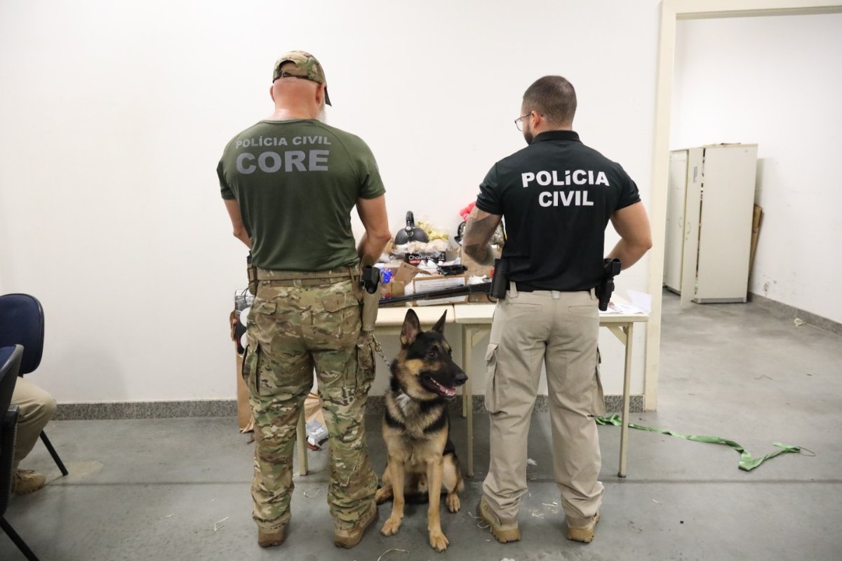 Mulher é presa e diversas porções de drogas apreendidas em operação de combate ao tráfico de drogas durante o pré-carnaval na Bahia