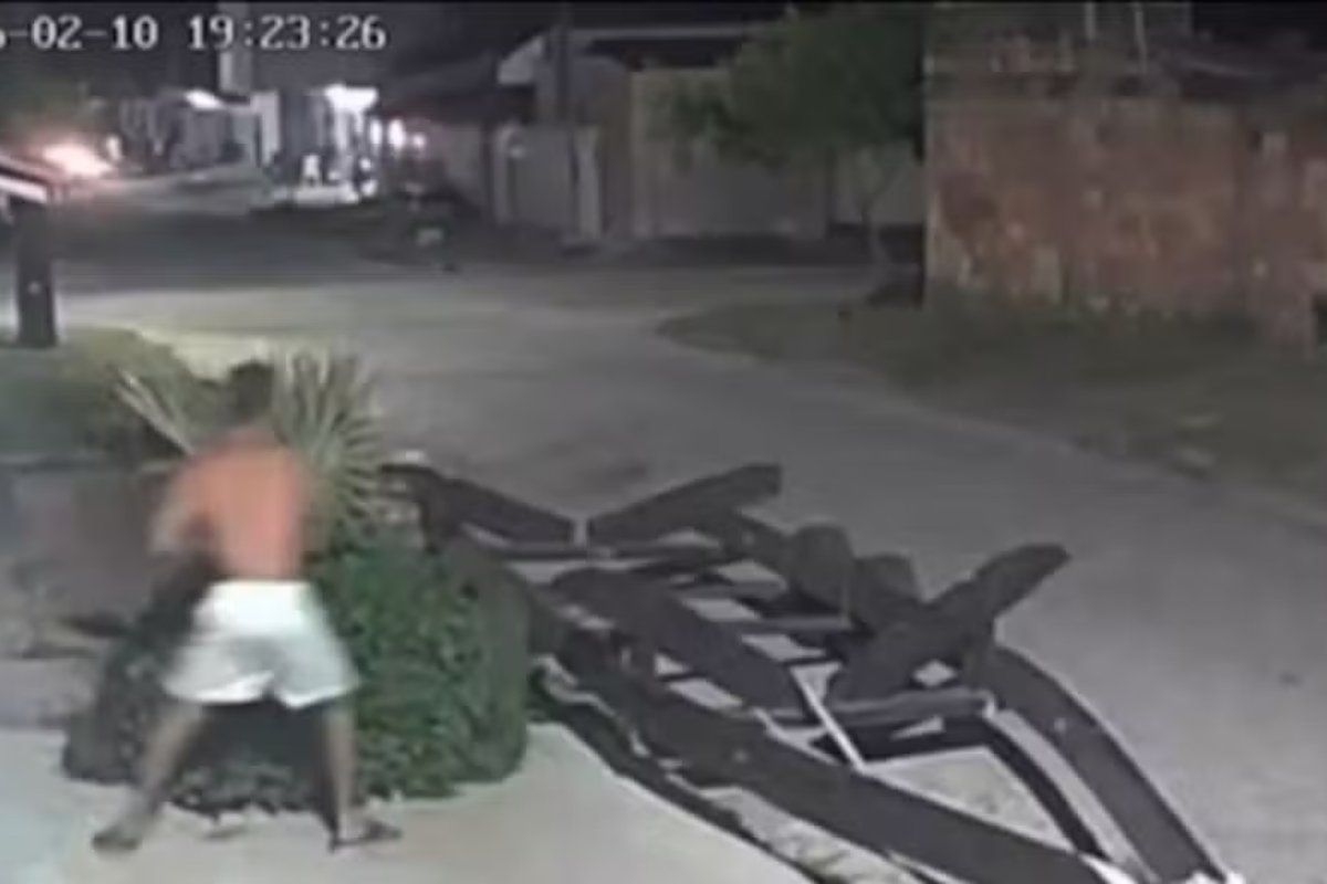 Vídeo: homem agride cachorro com paralelepípedo no interior da Bahia