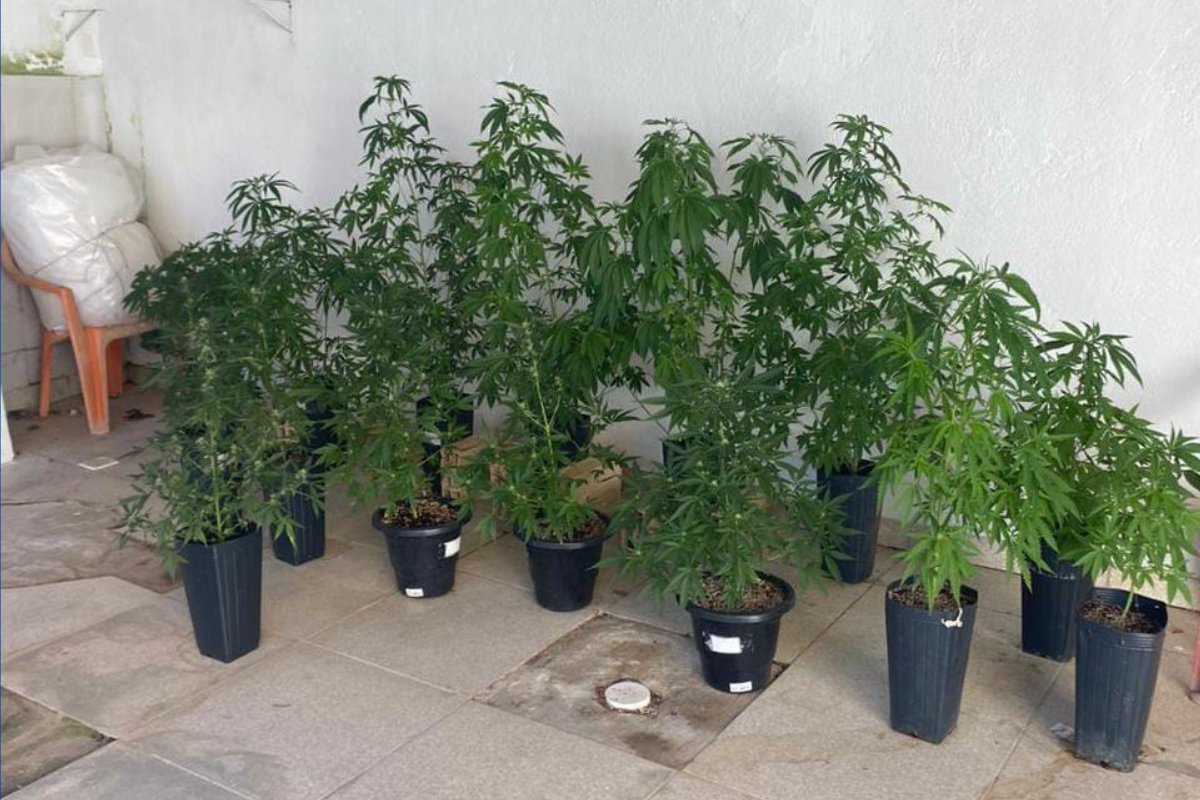 Laboratório é desarticulado e diversas porções de drogas são apreendidas na Bahia