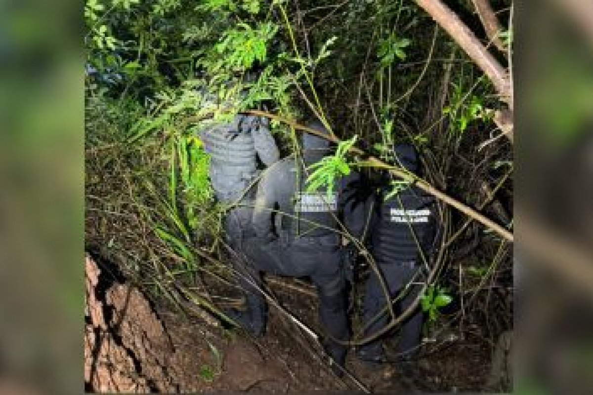 Vídeo mostra momento em que corretora é atacada por síndico em prédio de Caldas Novas
