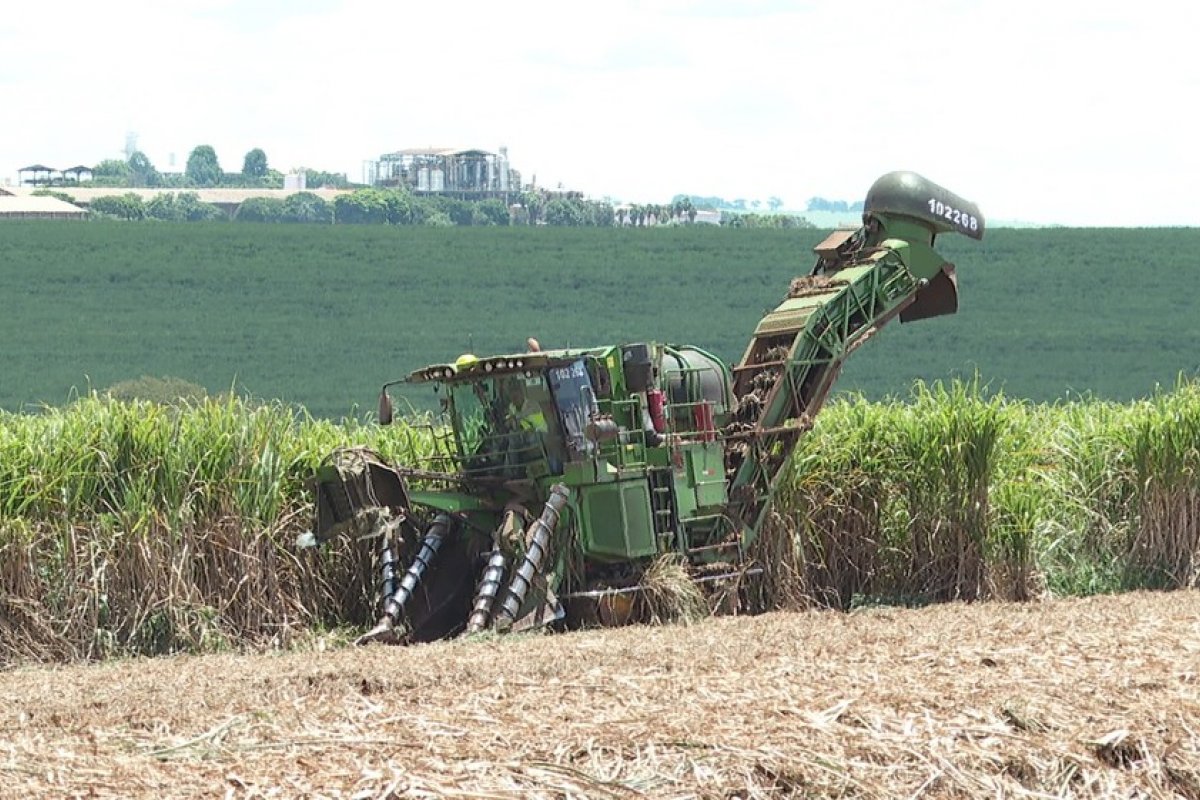 Nova regra para registro de agrotóxicos só valerá para pedidos a partir de 1º de abril