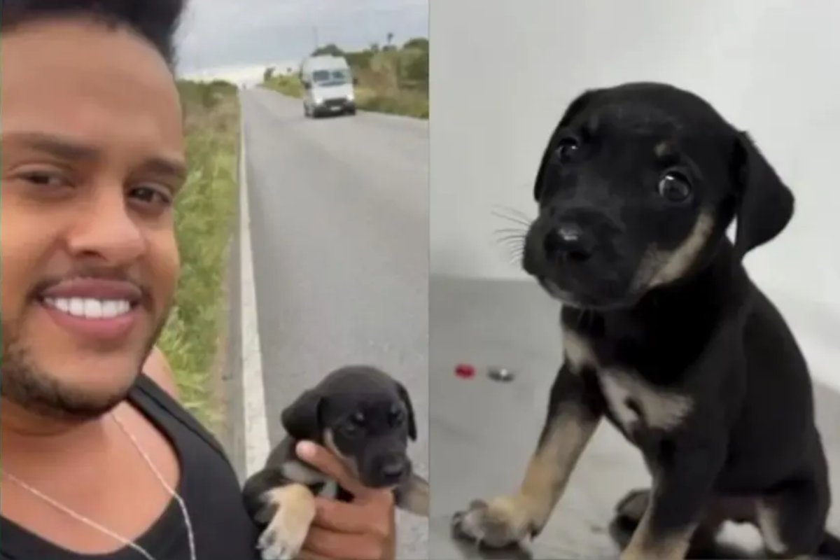 Thiago Aquino resgata filhote de cachorro abandonado em rodovia baiana