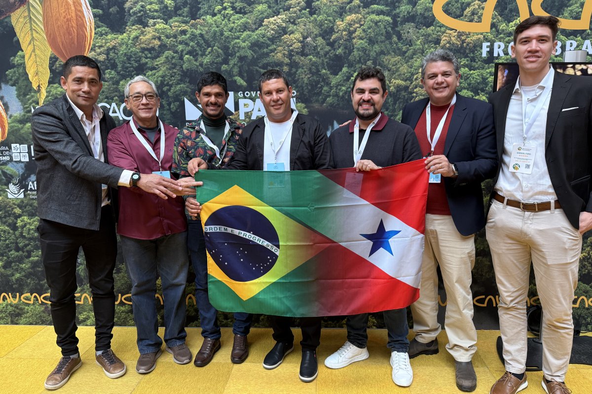 Brasil busca protagonismo no mercado internacional de cacau e chocolate em Holanda!