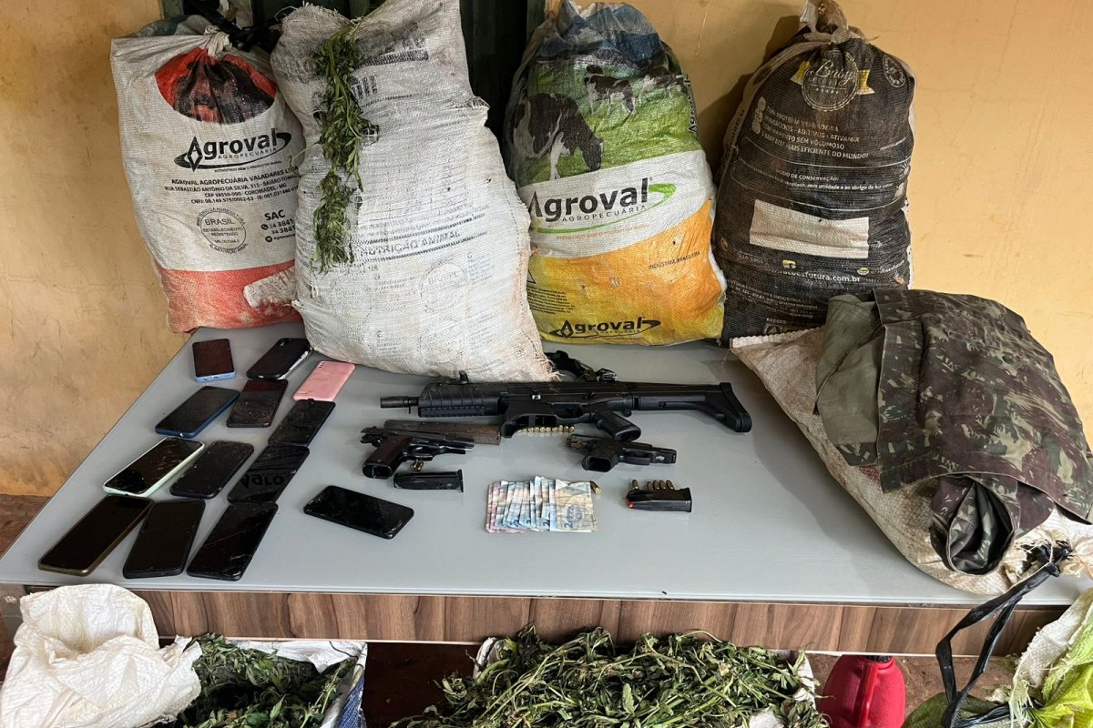 Apreensão de drogas acumula 3 toneladas de maconha encontradas em região da Chapada Diamantina