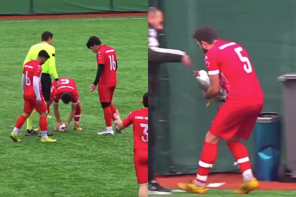 Vídeo: Gaivota é atingida por bola em partida de futebol na Turquia e jogador tenta salvá-la