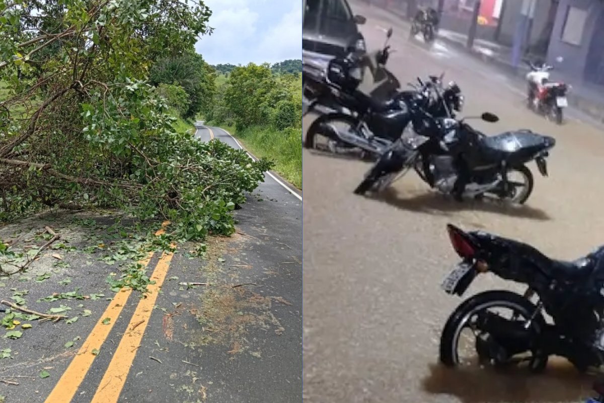Chuvas fortes causam alagamentos e quedas de árvores em Apuarema, interior da Bahia