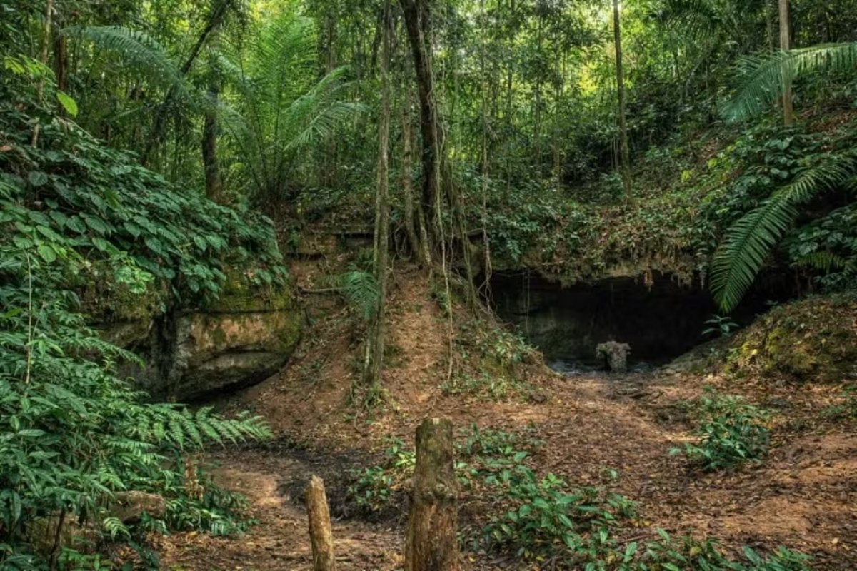 Incra reconhece 2,1 mil famílias quilombolas na Bahia para inclusão de políticas públicas na reforma agrária 