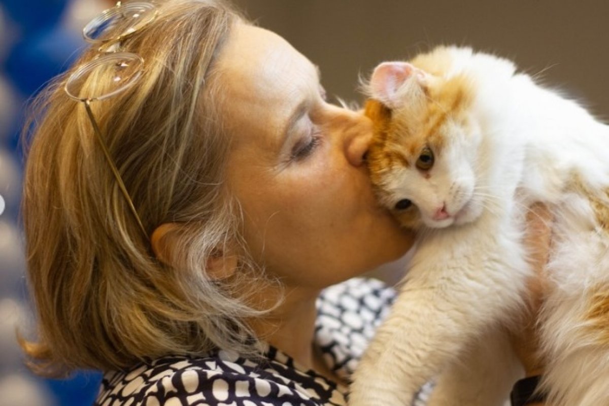 Mostra de Gatos reúne raças raras em shopping da capital baiana!