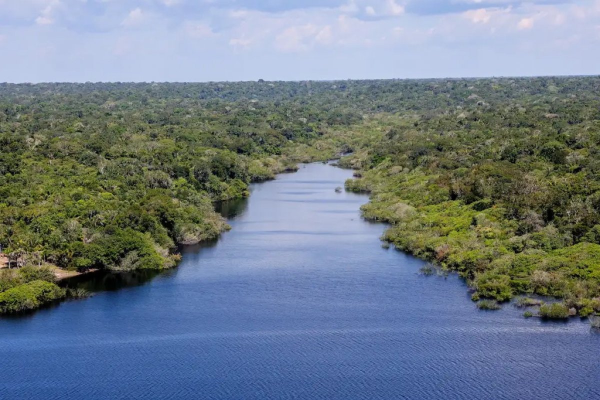STF determina que União se manifeste sobre contingenciamento do Fundo Nacional do Meio Ambiente em até 10 dias