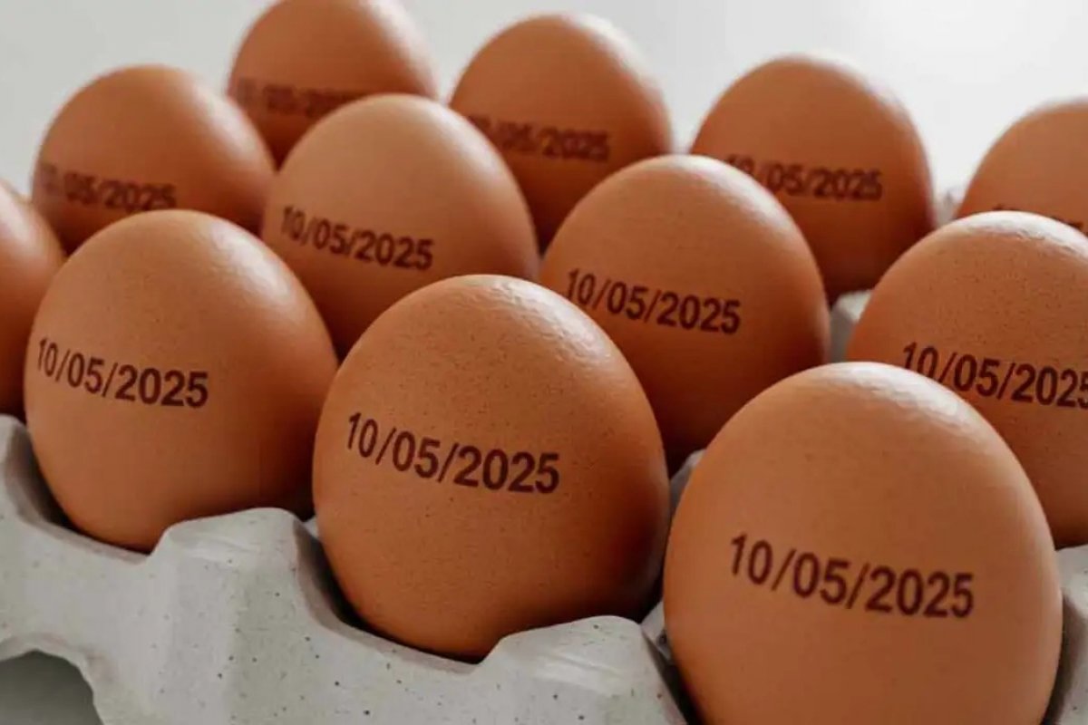Preço dos ovos quase dobrou no início de 2026 em algumas regiões do Brasil