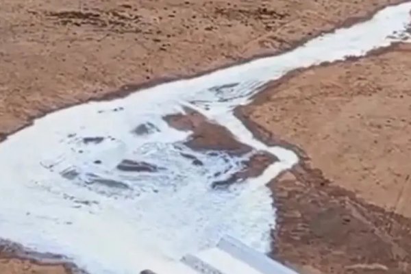 [Produtor derrama 2 mil litros de leite em protesto às más condições das estradas de terra no Oeste Baiano ]