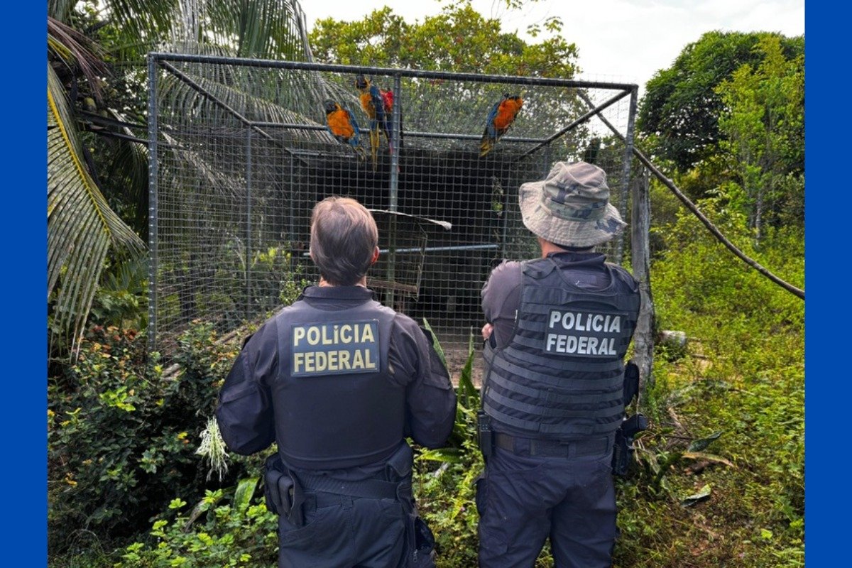 Polícia Federal cumpre mandados contra tráfico internacional de animais em hotel de Salvador