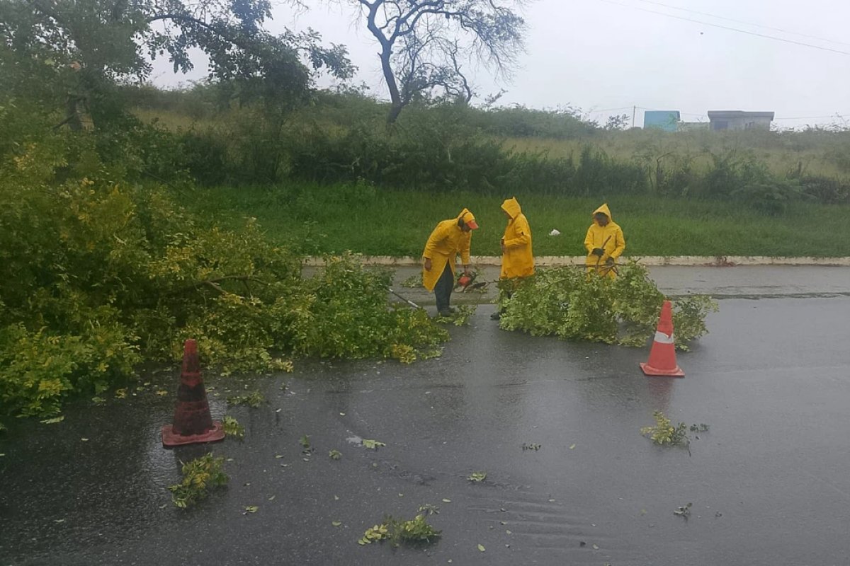 Inmet emite alerta de chuvas intensas para 268 cidades da Bahia neste domingo (15)