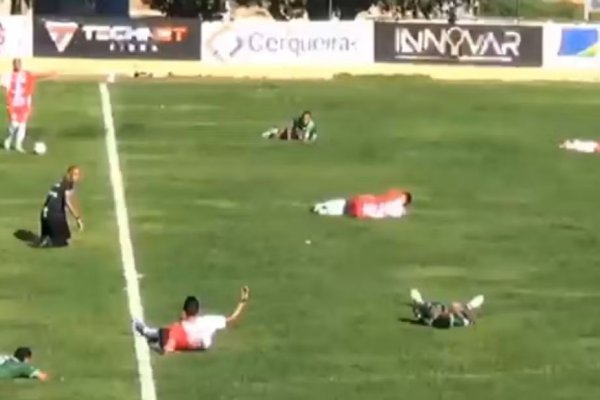 [Jogadores deitam no gramado e partida de futebol é interrompida após ataque de insetos]