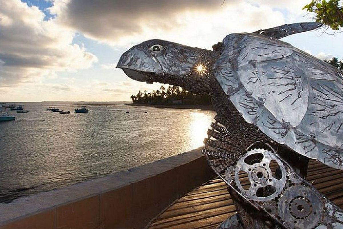 Projeto Tamar exibe exposição sobre reciclagem e vida marinha