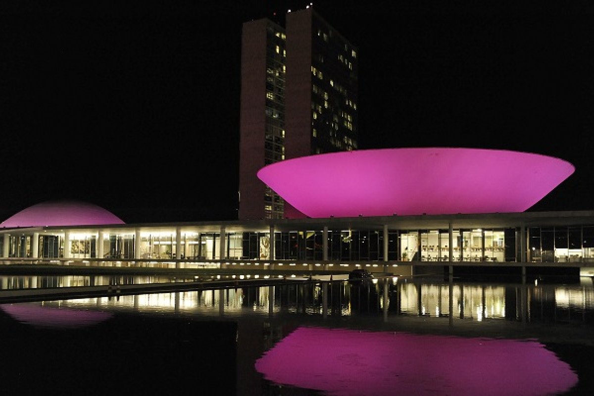 Em 2019, apenas sete PLs propostas por mulheres foram aprovadas na Câmara dos Deputados