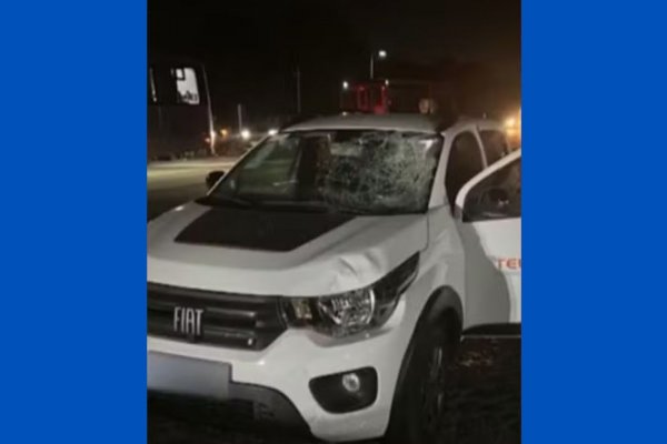 [Estudante fica gravemente ferida após ser atropelada em trecho da BR-415 na Bahia]