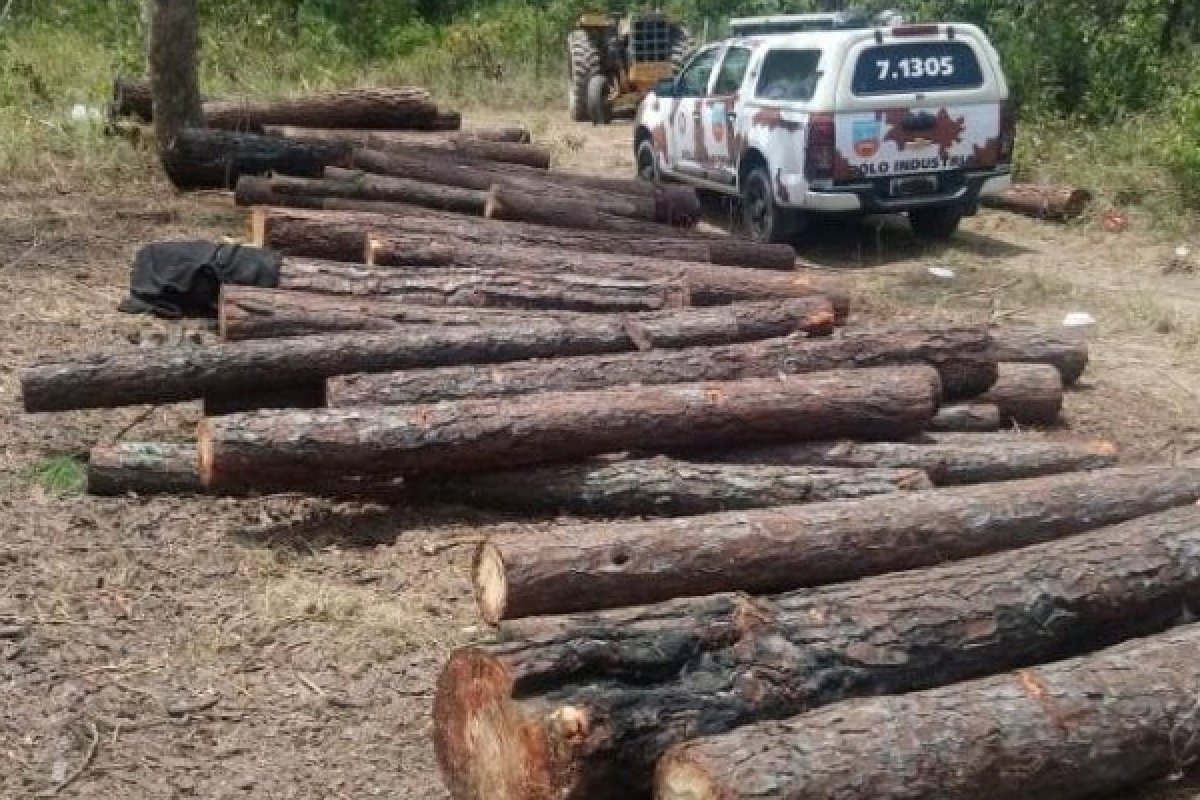 Multas ambientais caem 34% para menor nível após 24 anos