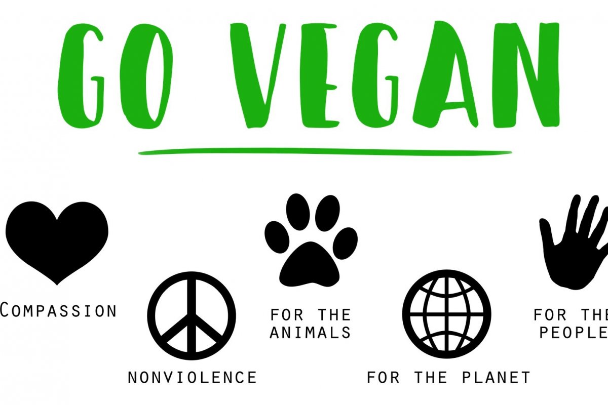 Marca traz nova opção vegana para tratamento de cabelos