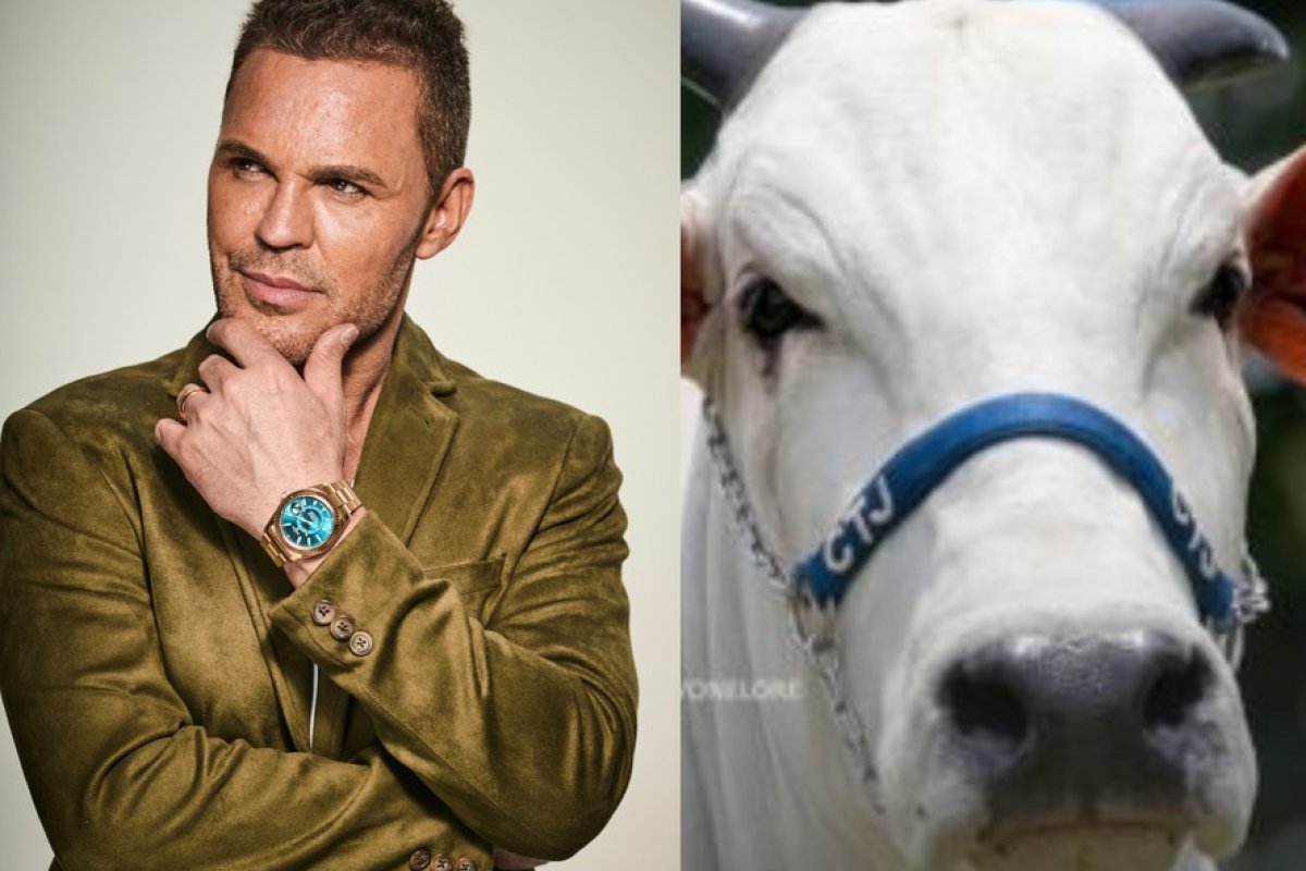 Sertanejo compra vaca avaliada em R$ 2 milhões!
