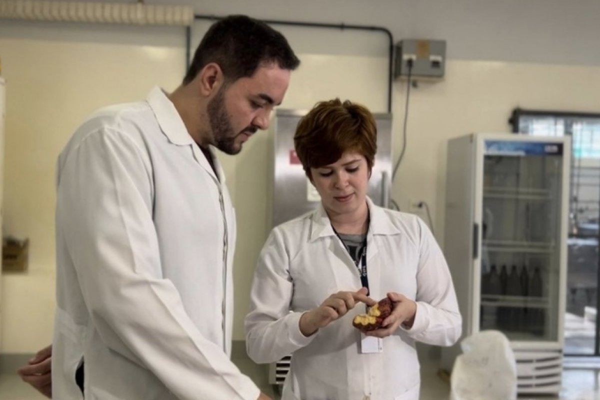 Chocolate sem gordura existe sim e é brasileiro!