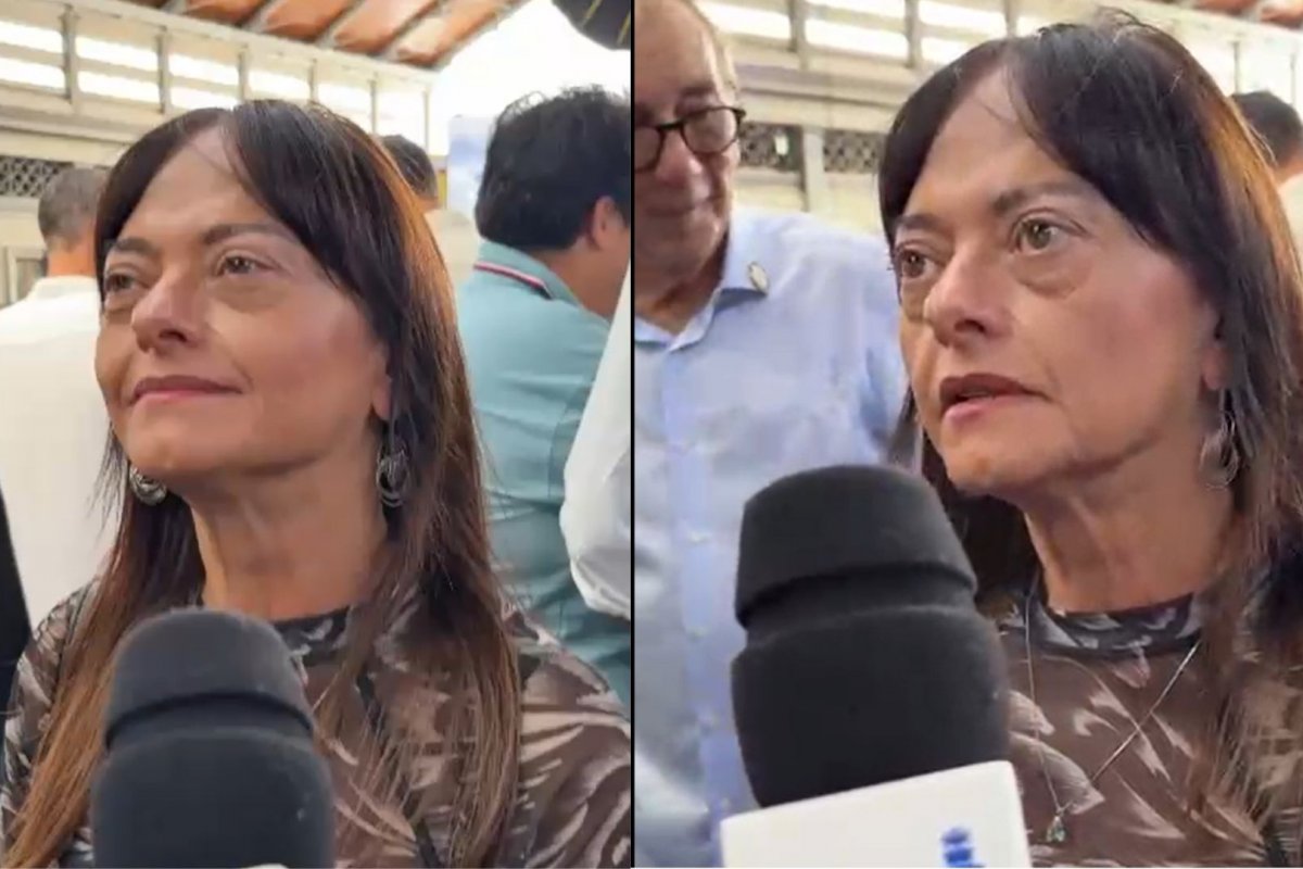 Alice Portugal diz que feminicídios e libertação de liderança indígena são principais pontos de atenção da Comissão dos Direitos Humano na Bahia