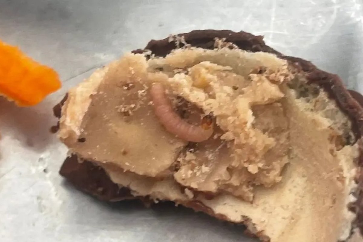 Aluno da UFBA encontra larva em sobremesa servida no restaurante universitário