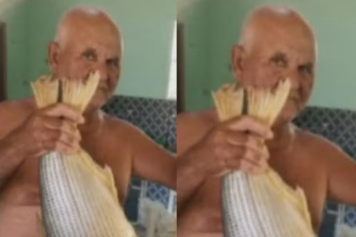 Idoso atacado por enxame de abelhas morre na Bahia