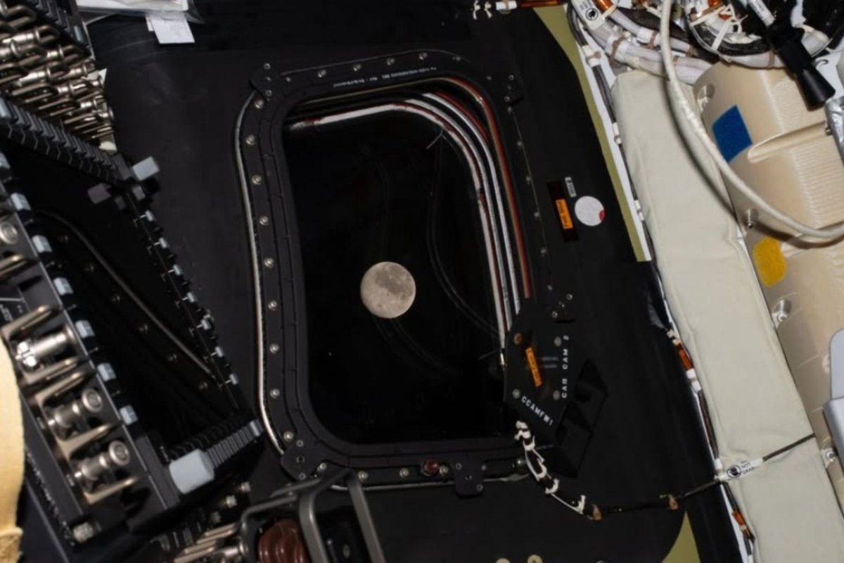 Vídeo: NASA recebe imagens da Lua enviadas pela missão Artemis II