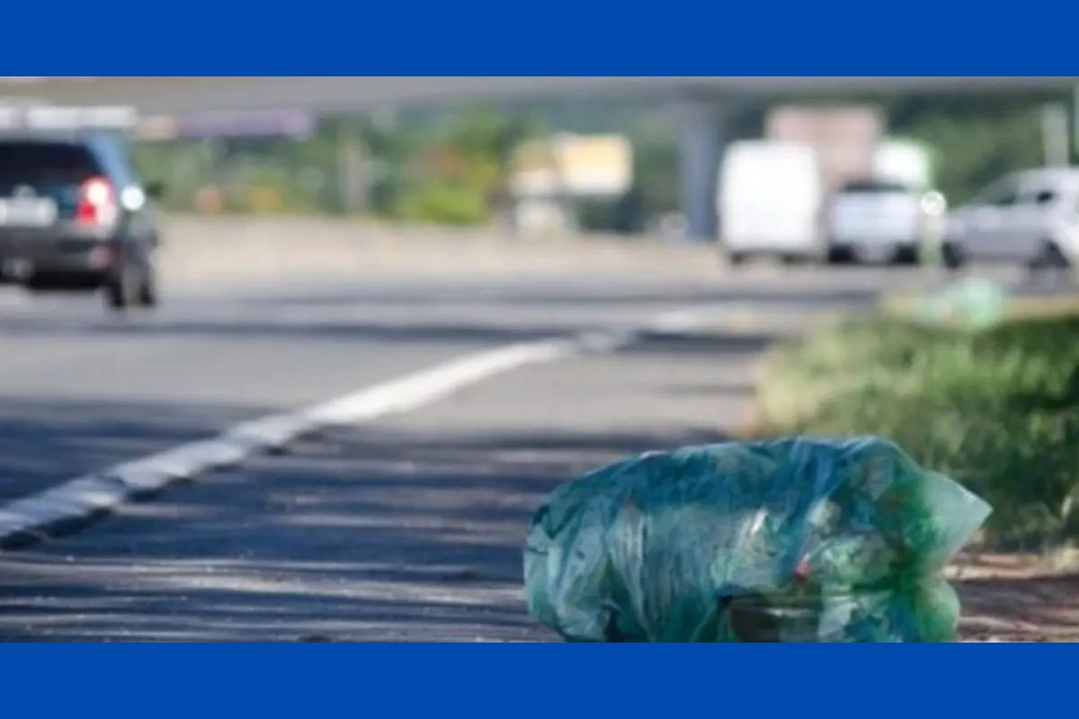 MPF instaura inquérito para investigar depósito irregular de lixo e invasão de domínio em rodovia baiana