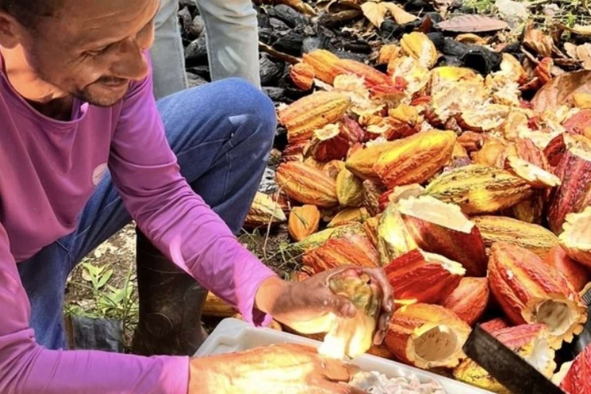 Plano Safra 2026/2027: entraves dificultam o acesso de povos e comunidades tradicionais ao crédito rural!