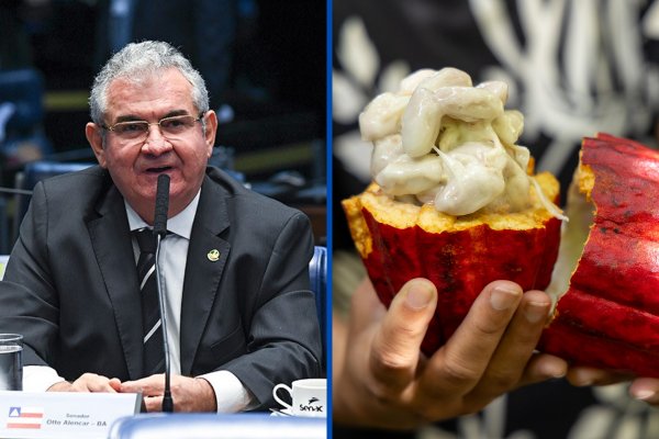 [Senado aprova projeto que regulamenta percentual de cacau em chocolates]