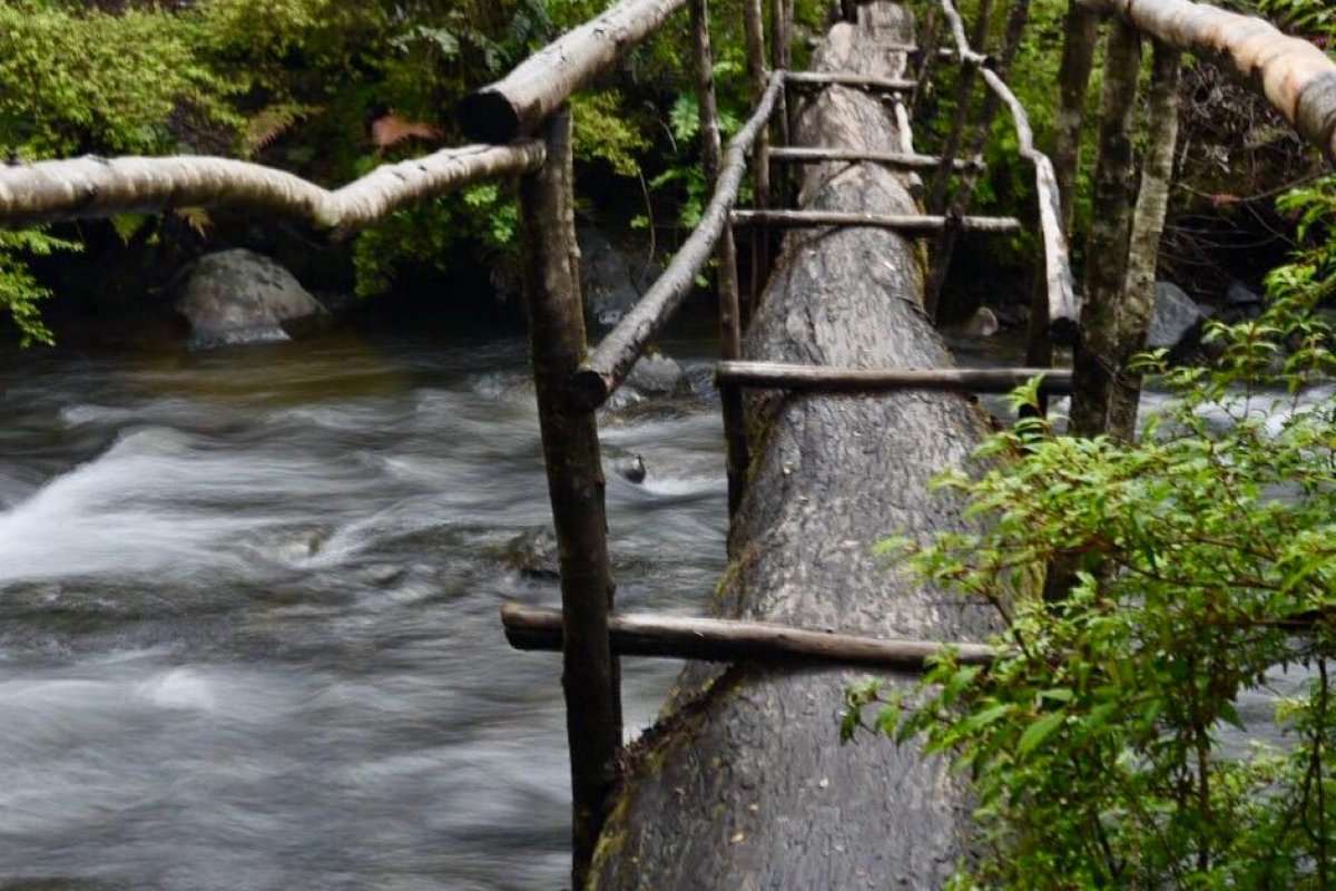 Fotógrafo e ambientalista brasileiro embarca para ação de recuperação ambiental na Patagônia argentina!