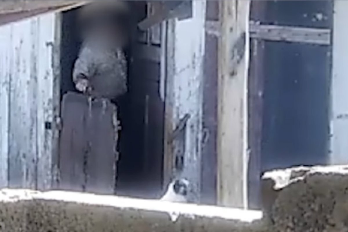 Vídeo: Homem condenado por abuso sexual contra animais é flagrado atraindo cão