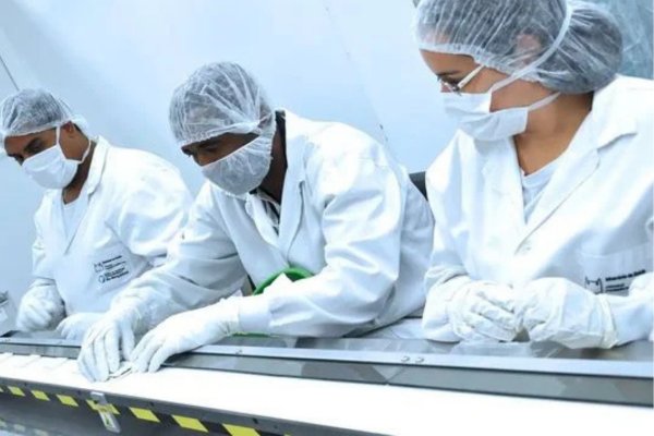 [Fiocruz abre 166 vagas de estágio com bolsas de até R$ 2,231]