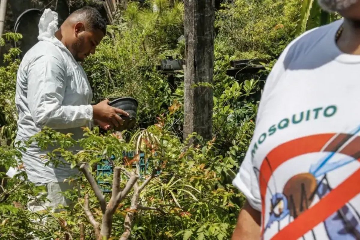 Casos de dengue, zika e chikungunya: Núcleo de Saúde alerta população do sudoeste da Bahia sobre prevenção