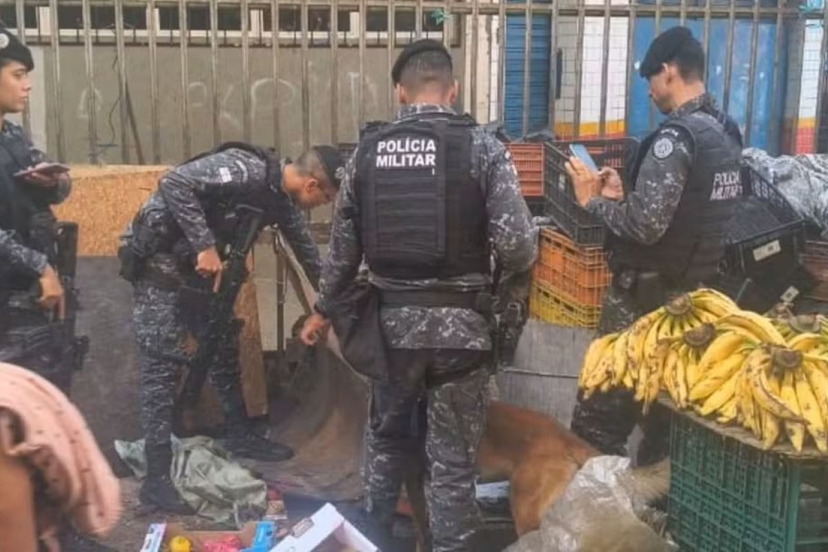 Cão farejador da Polícia Militar encontra drogas escondidas em barraca de frutas, em Salvador  
