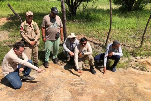 [Cientistas encontram pegada gigante de dinossauro carnívoro na Paraíba]