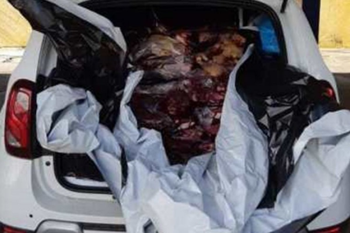 PRF apreende uma tonelada de carne bovina na BR 116 em Feira de Santana