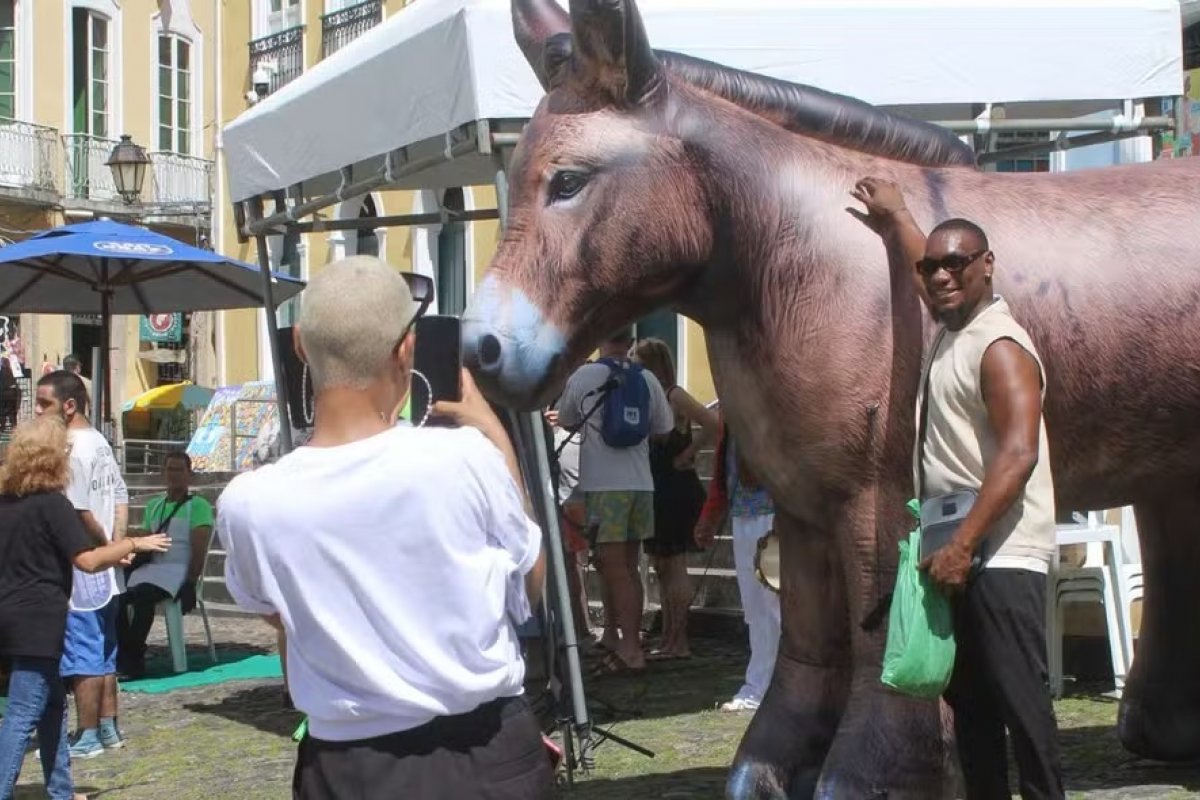 Ação com jumento inflável gigante no Pelourinho tem shows com repentistas e protesto contra abate do animal